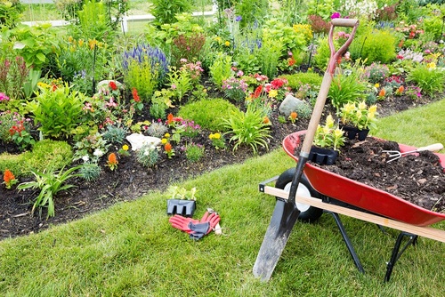 narzędzia ogrodnicze niezbędne w każdym ogrodzie